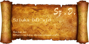 Szluka Dávid névjegykártya